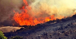Bodrum yine alev alev! Ekipler bölgede müdahale ediyorlar
