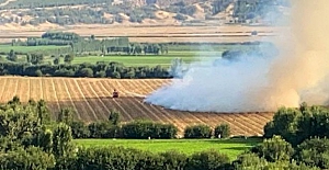 Diyarbakır'daki 7 Bin yıllık tarihi Hevsel Bahçeleri'nde yangın