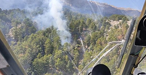 Manavgat'ta yeniden orman yangını!