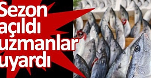 Sezon açıldı uzmanlar uyardı: "Esmer etli balıklara dikkat!.."