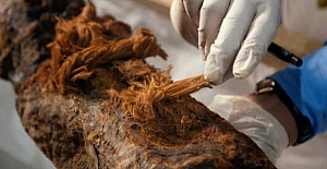 Arkeologları şaşırtan asilzade mumyası "Antik Mısır tarihini baştan yazacak"