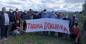 Bafra Ovası betonlaşma tehlikesiyle karşı karşıya