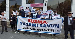 Bursa Su Kolektifi: "İznik Gölü ranta kurban edilmesin"