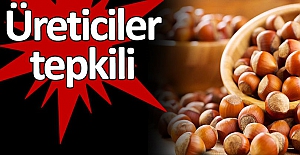 Fındıkta kriz başladı