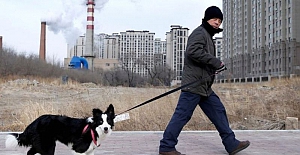 İşte Dünyayı en çok kirleten ülkeler. Peki Karbon emisyonunu azaltmak için ne yapıyorlar?