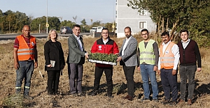 Mustafakemalpaşa "adaçayı" bitkisi üretimine başladı