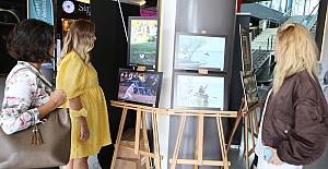 Sokaktaki ‘Can Dostlar’ objektiflere yansıdı