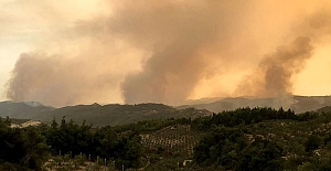 Suriye'de orman yangını çıkaran 24 kişi idam edildi