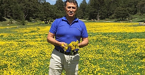 ÜMİT YURTKURAN yazdı: "Ölümden Başka Her Derde Deva.. (Güçlü Bağışıklık Sistemi)"