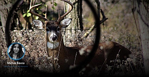 Türkiye’nin avcılık açmazı: Canlı öldürmek nasıl oldu da turizm haline geldi, eleştiriler neler?