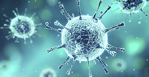 Çinli bilim insanlarından yeni virüs uyarısı: ´NeoCoV´