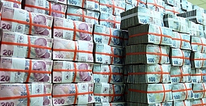 Ne Koç, ne Sabancı ne de Diğerleri: Türkiye'nin vergi şampiyonu bakın kim oldu