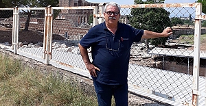 ALİ ÇEKİRDEK yazdı: "Kuyruk.."