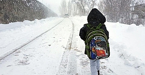Birçok ilde kar yağışı nedeniyle okullar tatil edildi