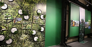 Nilüfer Sanat Çalıştay'ının eserleri bu sergide