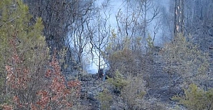 Bursa'daki yangında ağır bilanço