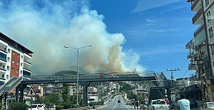 Antalya ve Hatay’da orman yangını