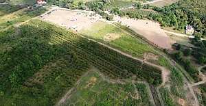 Avrupa’nın en büyük bahçesi Ağva’da kuruluyor