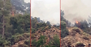 Muğla - Fethiye’de orman yangını!