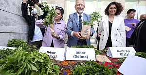 Nilüfer Belediyesi halka 400 bin fide dağıtıyor