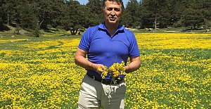 ÜMİT YURTKURAN yazdı: "Tüm Hastalıklara Çözüm Var.."