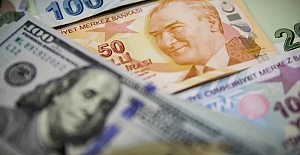 Dolar/TL kuru 17,20'yi aştı: Ekonomistler TL'nin değer kaybını nasıl yorumluyor?