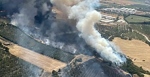 İzmir Foça ve Karaburun'da korkutan yangınlar