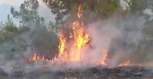 Kıbrıs'ta 4 bölgede başlayan yangınlar rüzgarla yayılmaya devam ediyor