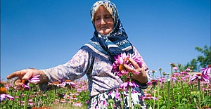 Ekinezya Hasadı ‘’Bayram Sevinci’’ Yaşattı