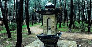 İstanbul'da ormanlara giriş yasağı getirildi