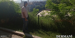 Şair DERMANİ yazdı: Açtım Ellerimi..