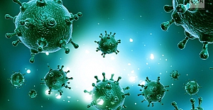 Çin'de yeni bir virüs daha ortaya çıktı: Langya virüsü nasıl bulaşıyor?