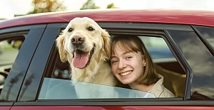 Japon Araştırmacılar: Köpekler sahiplerine kavuşunca 'sevinç gözyaşları döküyor' olabilir