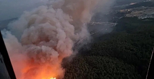 Manisa- Soma'da orman yangını