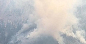 Mersin'in Tarsus ve Toroslar ilçeleri arasında orman yangını