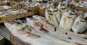 Av sezonu açıldı, tezgahlar balıkla doldu