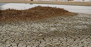 Göl uzmanından korkutan açıklama. 70'e yakın göl bakın nasıl kurutulmuş
