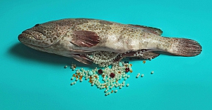 "212 Photography Istanbul" Festivali 5 Yaşında