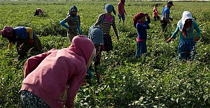 Hayata Destek Derneği: Çocuklar yoksulluk döngüsünden çıksın