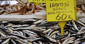 Hamsi 110 liradan 60 liraya düştü