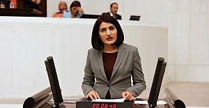HDP’li Semra Güzel’in Milletvekilliği Düşürüldü