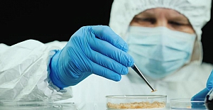 Cengiz Han'dan günümüze yaralarda kurtçuk kullanımı