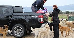 Kırsaldaki can dostlara gönüllü destek