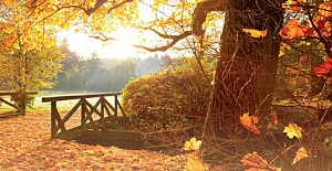 Sonbaharın  Kendine Özgü Kokusunun Kaynağı Nedir?