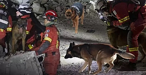 Onlar hep can kurtaran oldular… Depremin sessiz kahramanları