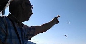 Şair DERMANİ yazdı: "Senin Aşkınla.."