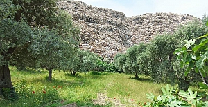 Deprem bölgesinde enkaz atıkları sorunu: 'Zeytin ağaçlarının üzerine molozların döküldüğünü gördüm'