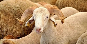 Arefe günü yarım gün mü, tatil mi?