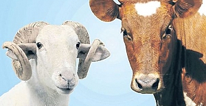 Mübarek Kurban Bayramınızı Candan Kutlarız!