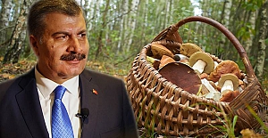 Sağlık Bakanı Koca'dan mantar zehirlenmelerine karşı uyarı